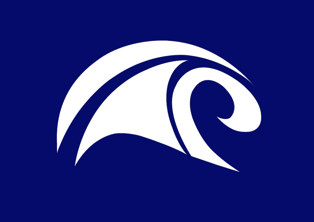Brighton Tsunami Logo