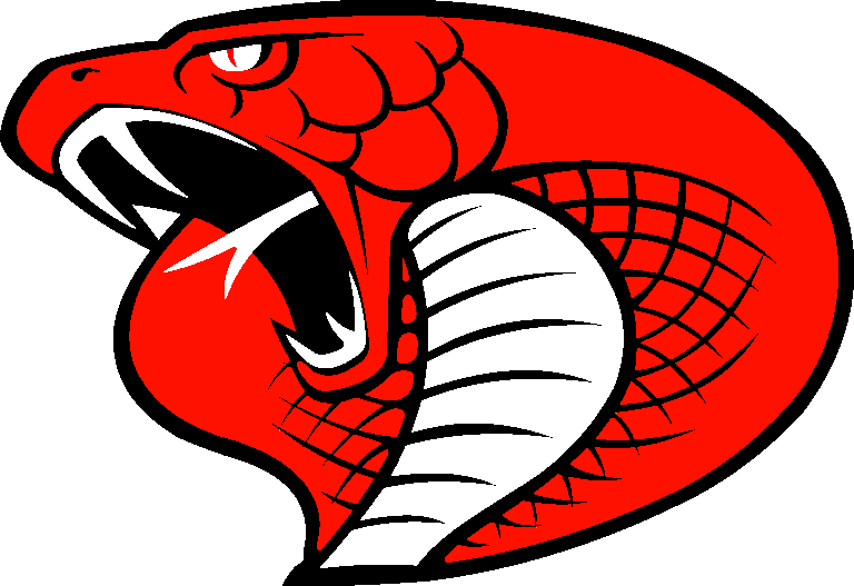Cardiff Cobras Logo