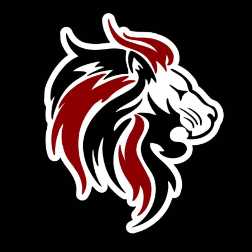 DMU Lions Logo