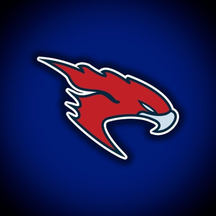 Kent Falcons Logo
