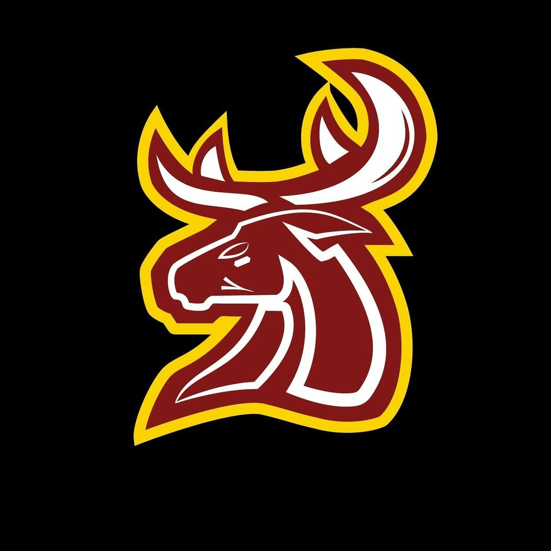 Southampton Stags Logo